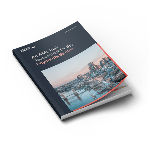 CA_Reports_ABM-Guides_-Payment-red-flags_Hubspot-header_1000