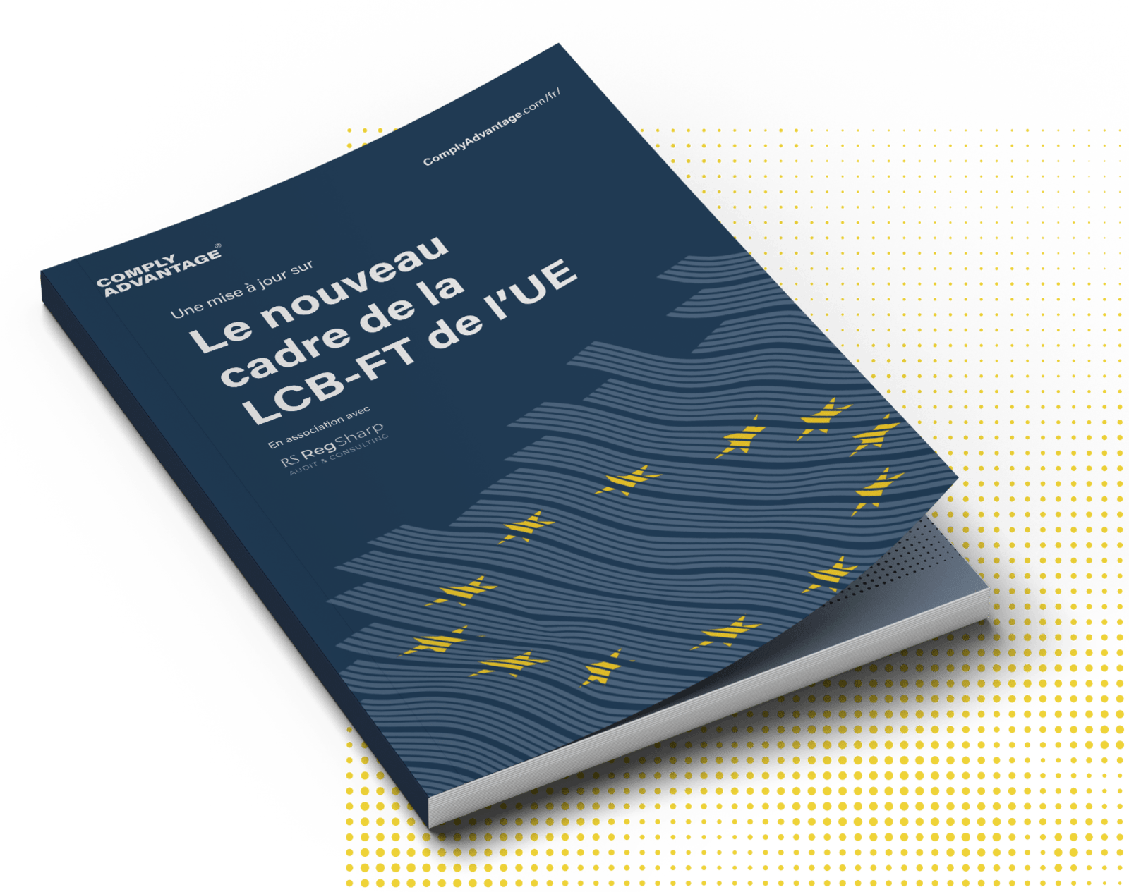 CA_Reports_AML-CFT Framework_Hubspot-header-min-1
